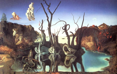 Италия откроет первый в Европе морской заповедник для дельфинов