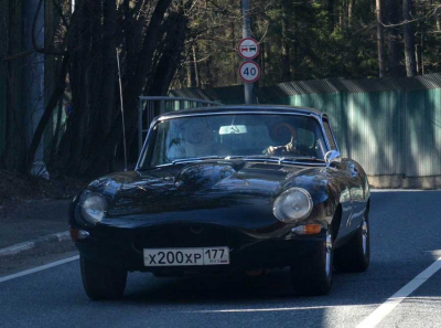 Jaguar, Газманов и Южные Биологические Системы: как профессор Королевский прячет миллионы за ароматом лаванды