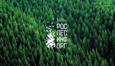 «Авиалесоохрана», тверские арендаторы и «Детский мир»: хроника захвата «Рослесинфорга» тверской диаспорой