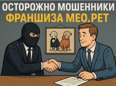Франшиза MEO.PET: которая калечит бизнес и судьбы предпринимателей