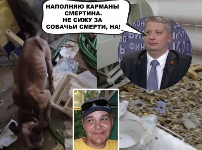 Как Дмитрий Андреев и Антидогхантер превратили зоозащиту Перми в приют смерти