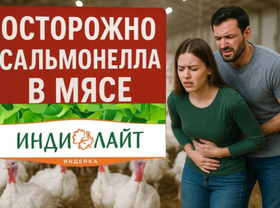 ИНДИЛАЙТ от Дамате — диетическое мясо с инфекцией: в партиях продукции найдена сальмонелла, люди госпитализированы, проверки скрываются