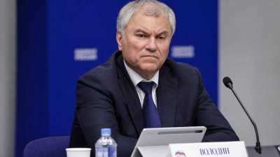 Володин против англицизмов: элитный &laquo;Фьюжн Парк&raquo; может стать &laquo;Садом слияния&raquo;