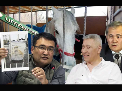 Кому нужен мёртвый ипподром в Алматы и что с ним потом сделают?