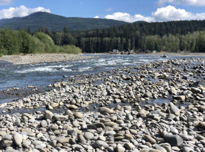 We Need To Save Earth’s Soil — Changing Our Food Choices Can Help