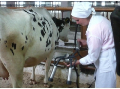 Под Екатеринбургом женщина за рулем такси едва не погибла от рук пассажира. Преступнику удалось бежать из-за волокиты &laquo;Трех десяток&raquo;